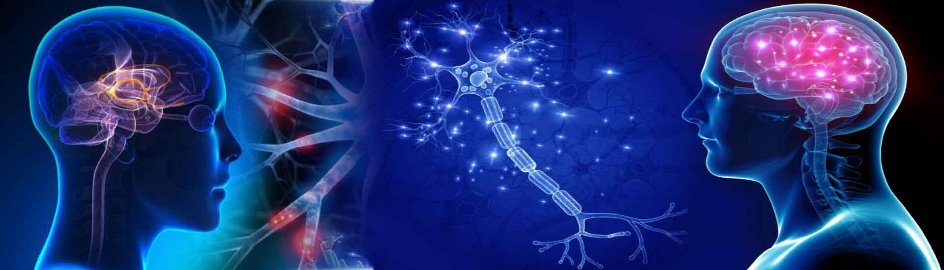 Neurological Health Simple Ways to Protect Your Brain